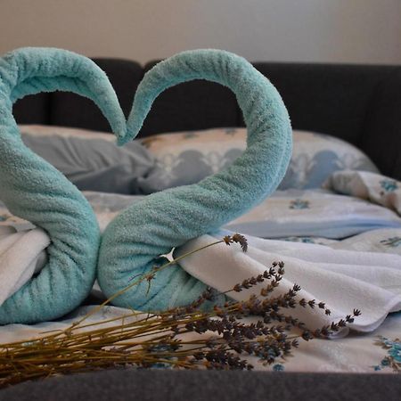 Apartman Samardzic トレビニエ エクステリア 写真