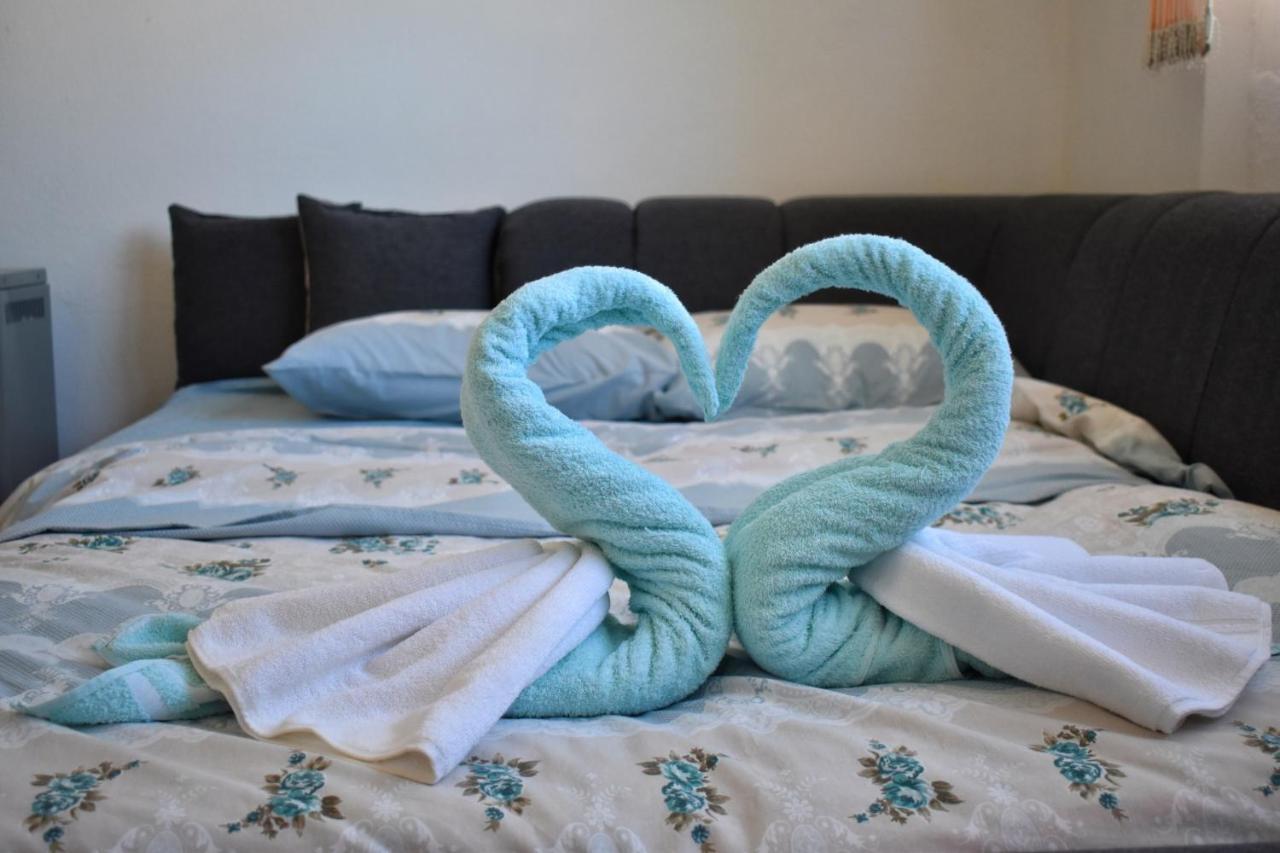 Apartman Samardzic トレビニエ エクステリア 写真