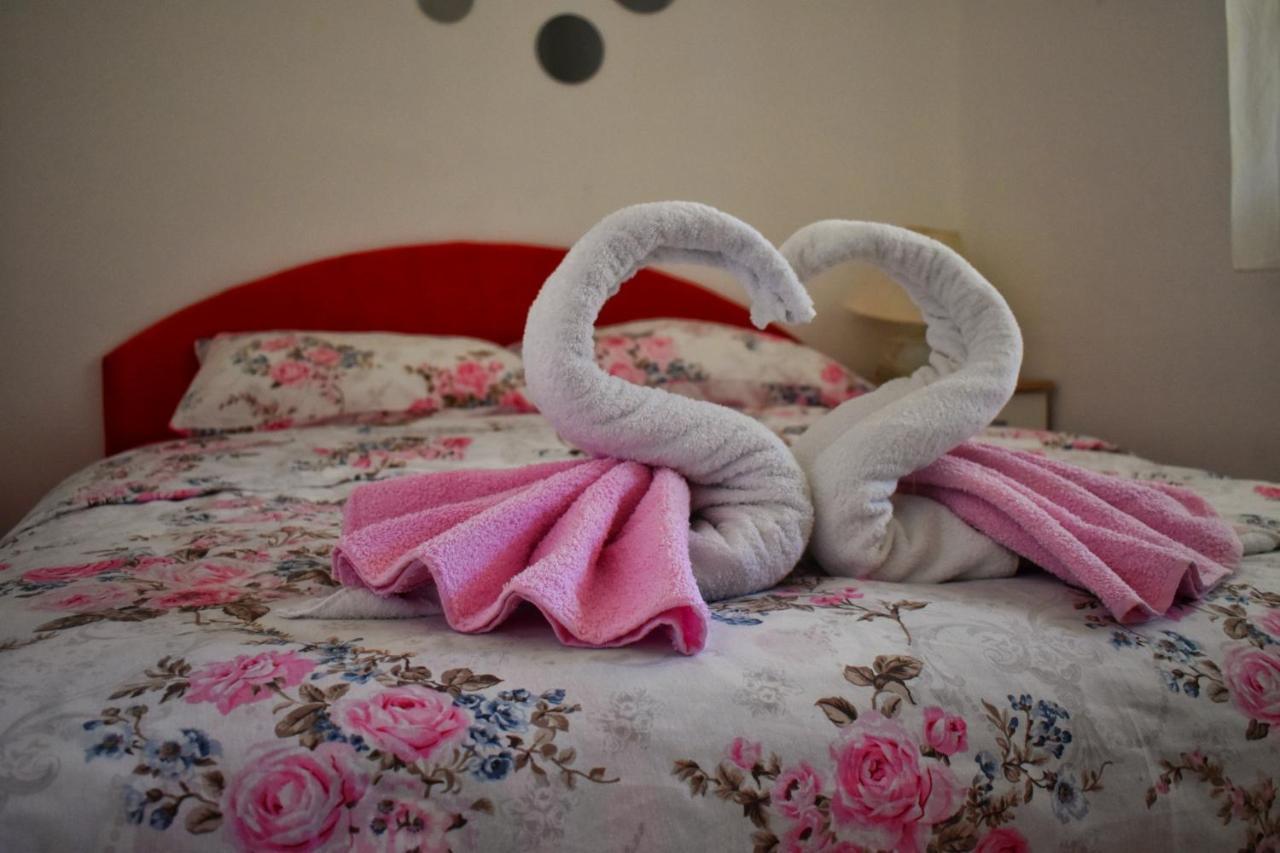 Apartman Samardzic トレビニエ エクステリア 写真