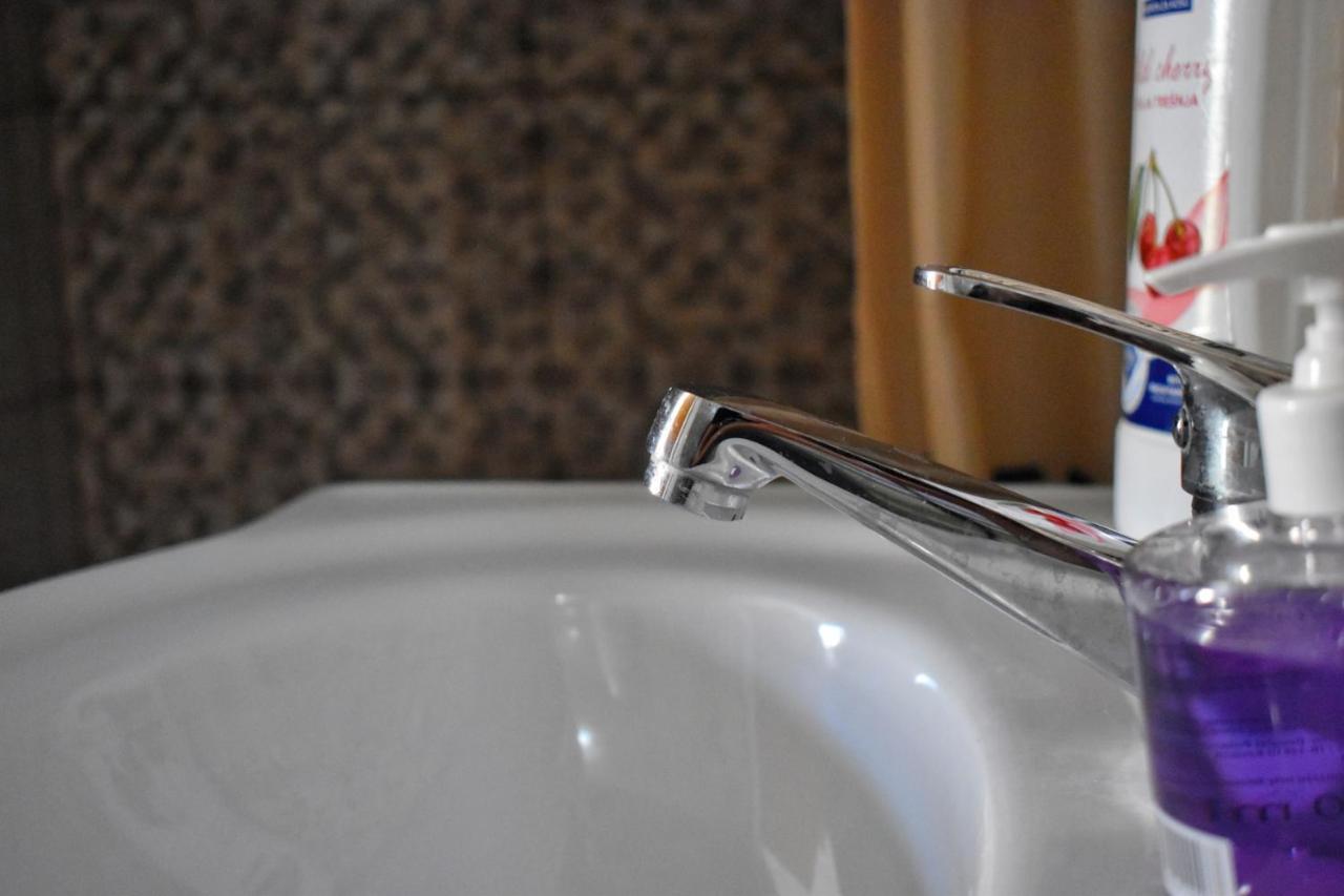 Apartman Samardzic トレビニエ エクステリア 写真