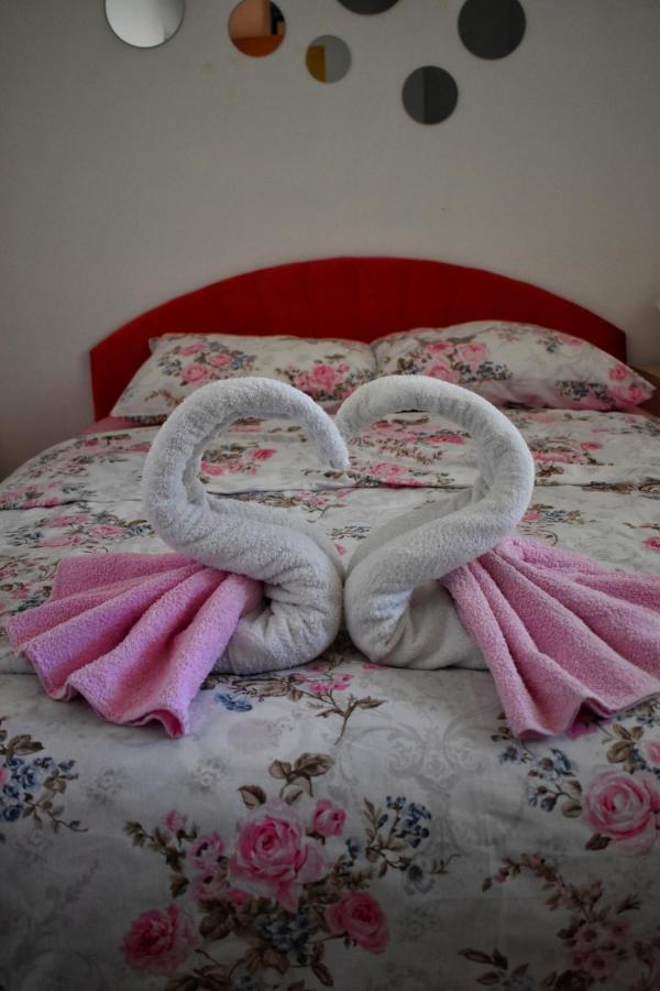 Apartman Samardzic トレビニエ エクステリア 写真