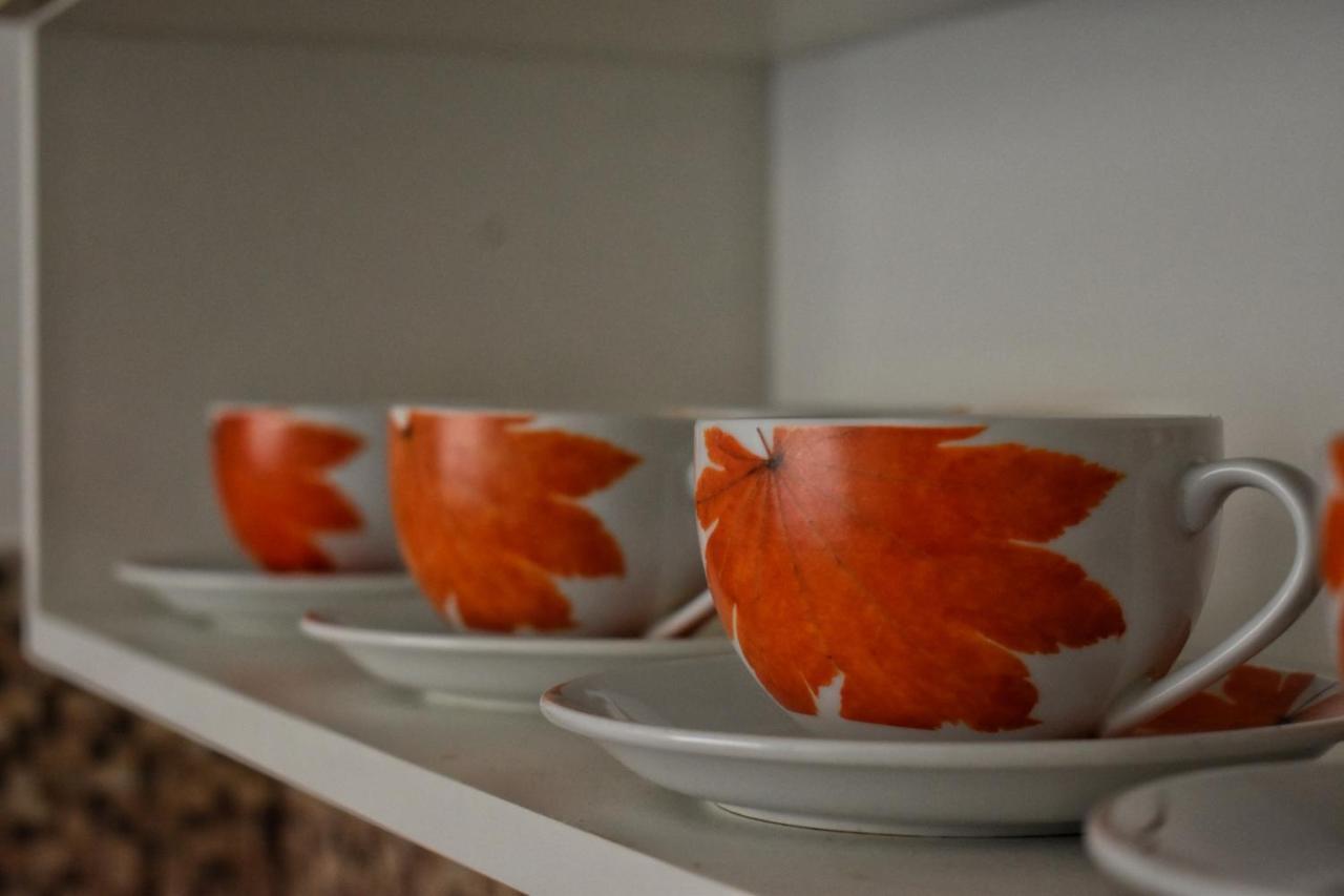 Apartman Samardzic トレビニエ エクステリア 写真