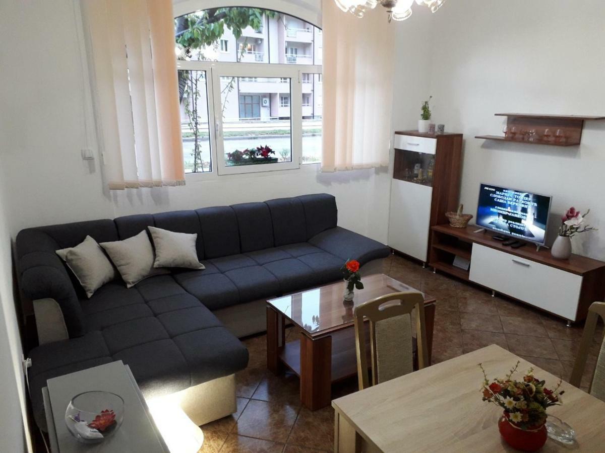 Apartman Samardzic トレビニエ エクステリア 写真